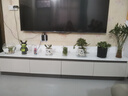 白蚁实木烤漆电视柜落地简约轻奢风岩板电视柜茶几组合柜客厅储物柜 2.4米电视柜【实木烤漆】 实拍图