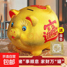 金猪存钱罐只进不出儿童陶瓷储蓄罐储钱罐大容量可爱摆件生日礼物 【可取钱】14寸-可存8万 实拍图
