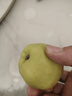 京鲜生 新疆库尔勒香梨 净重5斤 一级 单果100g-120g  生鲜水果 实拍图