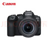 佳能（Canon）EOS R6 Mark II R6二代 新标准全画幅微单相机R62 24-105 STM标准镜头套装 实拍图