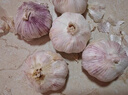 山东金乡鱼台大蒜农家自种干蒜新鲜蔬菜紫皮批发多瓣祘头当季 精品大蒜【带箱2斤】 实拍图