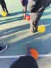 SCARPA思嘉帕冈仁波齐户外鞋登山鞋专业防水防滑耐磨高帮穿越版徒步鞋男 女款-钛灰拼蓝色大一码拍 39 实拍图