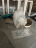 萌嘟星宠 宠物猫狗窝小型犬猫咪睡垫四季通用幼犬泰迪秋冬狗垫子 S号 实拍图