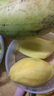 京喜加玉芒水果芒果新鲜上市 带箱2斤200g+ 实拍图