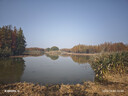 浅香（ASAKA）护发素香榧氨基酸顺滑膏柔顺干枯毛躁修复顺滑精华素护发膜精华乳 【水润护发】 700g*1瓶 实拍图