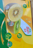 佳沛（zespri）新西兰  阳光金奇异果18粒礼盒优选果单果约101-124g 猕猴桃水果 实拍图