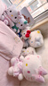 Hello Kitty三丽鸥毛绒玩具布偶玩偶布娃娃抱枕生日新年礼物礼品女凯蒂猫公仔 实拍图