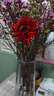把束拉丝菊 简约现代陶瓷花瓶摆件 插花干花花束会议桌装饰高端 红色/1枝 实拍图
