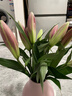 悦多彩AB级优质香水百合 家庭办公室各色生活鲜花 昆明基地 现采直发 随机单色百合10朵（双头5枝） 实拍图