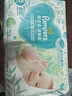 帮宝适超薄透气清新帮透氧Pro新生儿婴儿纸尿裤尿不湿尿片尿布S60 实拍图