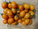 京喜加夏日阳光小番茄黄色迷恋圣女果即食水果小柿子现摘现发减肥 黄色圣女果一斤装 实拍图