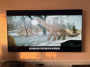 LGC5系列 83英寸OLED电视 4K超高清 AI电视机 144Hz 83C4升级款以旧换新 家电补贴 OLED83C5PCA 实拍图
