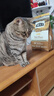 愛肯拿（ACANA）猫粮 牧场盛宴成猫幼猫粮 高蛋白无谷进口鸡肉粮1.8kg效期26/11 实拍图