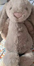 Jellycat害羞米色邦尼兔动物毛绒玩偶安抚公仔娃娃圣诞节生日礼物 米色 Medium 实拍图