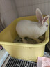 疯狂的主人猫砂盆半封闭式猫厕所防外溅大黄油猫沙盆猫屎盆猫咪用品 实拍图