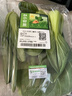 【24小时菜】富硒小油菜200g 实拍图