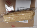 京鲜生 东北白糯玉米230g*8棒 新鲜甜糯玉米棒真空包装粘玉米 源头直发 实拍图