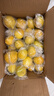 广东香水黄柠檬新鲜柠檬奶茶店专用香水黄柠檬水果产地源头直发 （带箱9斤）香水柠檬黄果单果70g起 实拍图