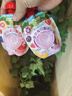 爷爷的农场【买一送一】婴幼儿宝宝酸奶3-4口味随机60g*8袋儿童婴标常温零食 实拍图