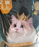 亿迪猫粮全价成猫幼猫冻干全阶段5斤布偶蓝猫英短橘猫通用小包装2.5kg 实拍图