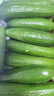 京鲜生 山东水果小黄瓜净重4.5斤单果80g+ 健康轻食 源头直发 实拍图