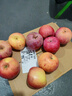 甜醉了 烟台苹果栖霞红富士新鲜水果生鲜山东特产脆甜整箱平果礼盒礼品 净重8.5斤75-80mm 实拍图
