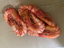 九节虾干即食烤虾干海鲜干货深海大虾 零食对虾烤虾干净重 虾干100克（约80只） 实拍图