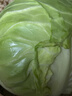 高原夏菜新鲜包菜卷心菜绿甘南菜甘蓝圆白菜时令蔬菜健康营养早餐 3斤带箱农家好菜 实拍图