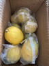 广东香水黄柠檬新鲜柠檬奶茶店专用香水黄柠檬水果产地源头直发 （带箱3斤）香水柠檬黄果单果70g起 实拍图