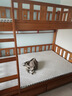 临稚胡桃木 儿童上下床实木高低床双层床上下铺床两层木床子母床 爬梯款 上铺宽1.0米下铺宽1.2米 实拍图