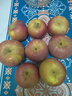 正宗山东红富士苹果丑苹果新鲜水果当季脆甜冰糖心苹果嘎啦果 带箱2斤55mm+ 实拍图