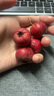 京鲜生 甜红子红山楂 新鲜山楂300g 尝鲜装 生鲜水果 实拍图