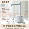 小熊（Bear）桶装水抽水器 电动压水器 自动吸水器 矿泉水上水器 饮水机抽水泵 台桶两用 YSJ-D05M1 实拍图