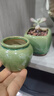 景青小花盆陶瓷多肉控型拇指盆简约创意个性透气桌面迷你可爱 ZY拇指绿冰裂-小缸陶瓷 小 实拍图