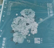 天章 （TANGO）【缺页十倍赔】可定制针式电脑打印纸 三联二等分1000页彩色 多联打印纸 凭证纸出库单送货单 1000页/五联二等分/撕边 实拍图