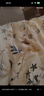 安睡宝（SOMERELLE）100%全棉床上四件套纯棉 床单款床上用品被套200*230cm1.5/1.8米 实拍图