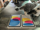Apple/苹果 iPad11英寸 A16芯片2025年款 平板电脑 (256GB WLAN版/学习办公娱乐)蓝色 实拍图