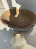 疯狂的主人猫抓板窝碗形超大号猫抓盆不掉屑猫窝宠物猫玩具瓦楞纸猫爪板 实拍图