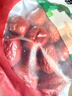 方家铺子五星红枣1kg 新疆特产和田大枣特级红枣气血无添加量贩装送长辈 实拍图