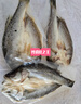 卖鱼郎先生 国产三去海鲈鱼净重2.4斤/3条  生鲜 鱼类冷冻鲈鱼 海鲜水产  实拍图