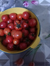新鲜千禧圣女果小番茄现摘现发多汁水果适合孕妇食用 2斤 实拍图