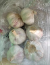 静益乐源山东紫皮蒜大蒜干大蒜蔬菜批发干蒜自种大蒜种子多瓣蒜当季蔬菜 【中果精品大蒜】2斤 精选今年大蒜 实拍图