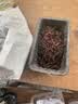 蚯蚓活饵鲜活红虫垂钓鱼饵料鲫鱼鲤鱼野钓黑坑鱼料打窝料鱼食通杀 活体蚯蚓半斤（大号）送营养土 实拍图