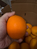 京鲜生 赣南脐橙 净重10斤 钻石果 单果230g起 生鲜橙子水果礼盒 实拍图