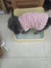 HELLOJOY狗狗厕所中小型犬防踩屎尿盆宠物用品小狗狗砂盆拉屎便盆专用大号 实拍图