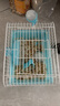 喜帅 单层仓鼠笼套装 仓鼠手提笼 小田园单层基础笼小型宠物外带笼子 实拍图