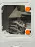 蔻丝猫笼子带厕所一体适合大猫家用室内三层猫别墅大号猫窝透明猫柜 实拍图