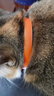 普安特猫咪情绪安抚精油项圈外出应激狗狗舒缓情绪抓咬乱尿35cm橙色 实拍图