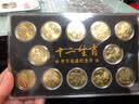 金永恒 2003-2014年第一轮十二生肖纪念币 第一套生肖纪念币 2012龙年纪念币1枚带小圆盒 实拍图