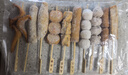 九生堂日式风味关东煮串串组合400g 10串2汤料鳕鱼丸子竹轮火锅食材 实拍图